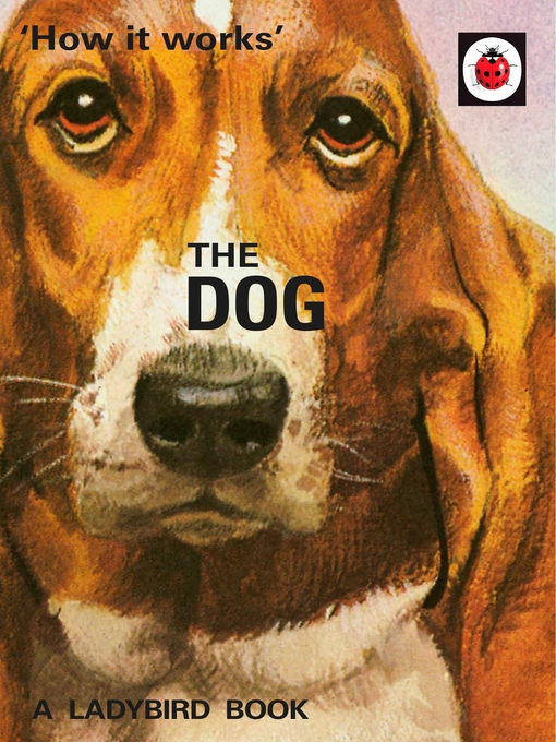 Cover image for How it Works